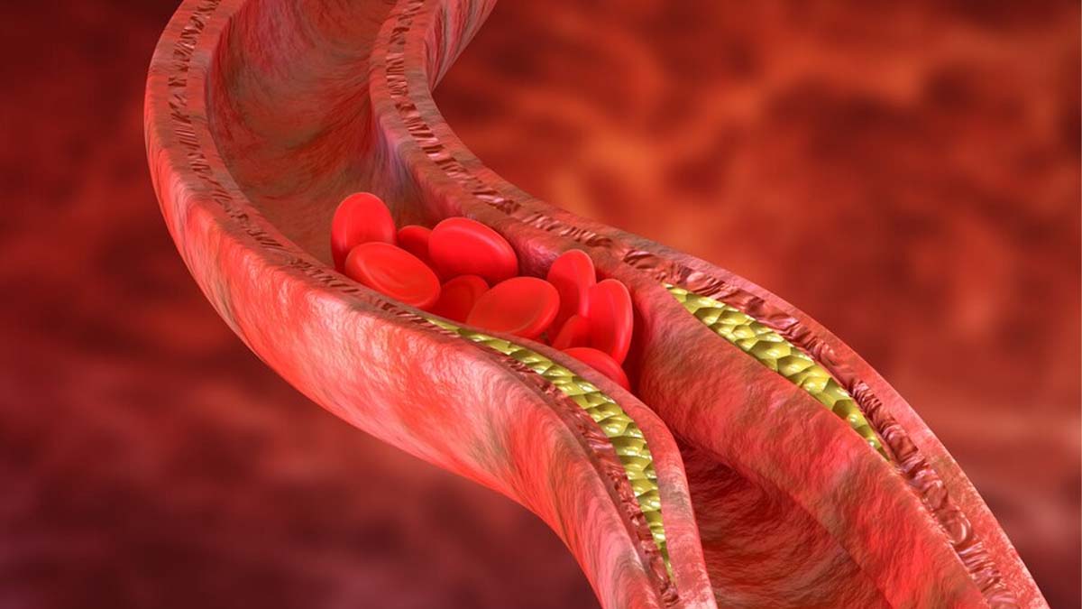 Tips To Maintain SPO2 Levels In Body And Improve Blood Circulation 